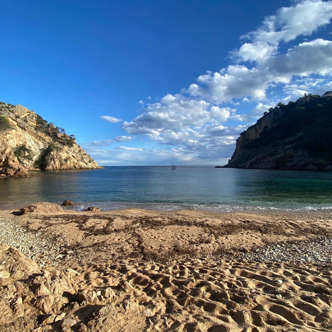 WhatsApp Image 2024-04-14 at 09.32.13